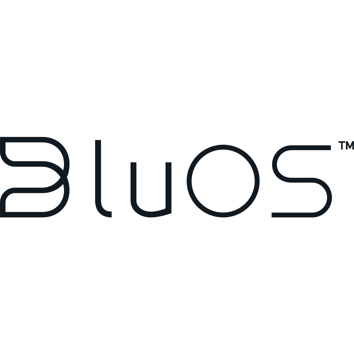Bluesound preview